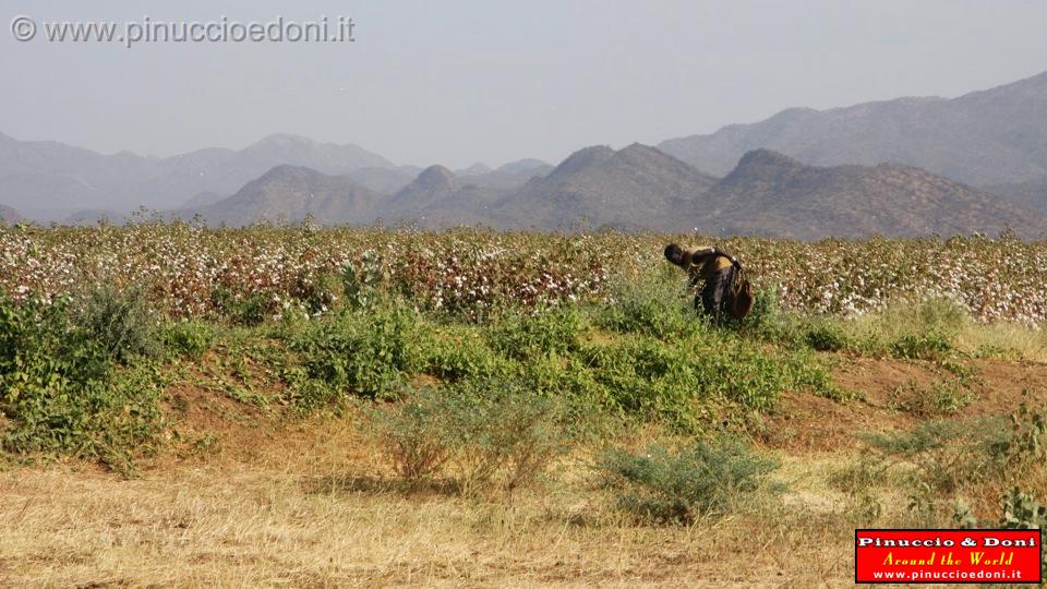 Ethiopia - 868.jpg